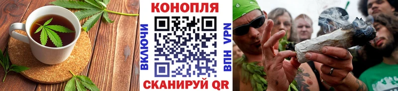 Купить где  Севастополь  Canna-Cookies конопля 