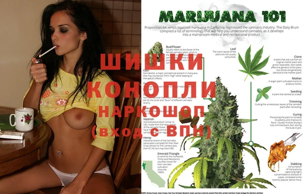 стаф Козельск