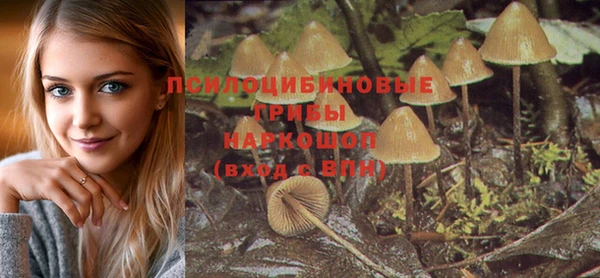 стафф Киреевск