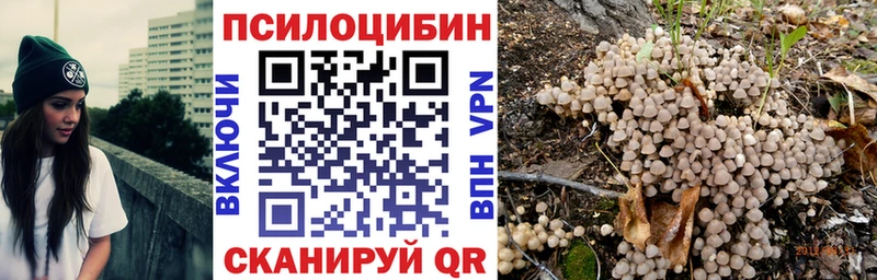 Галлюциногенные грибы GOLDEN TEACHER  Купить  Севастополь